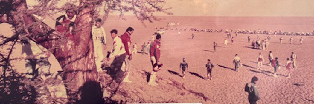 No.299 – 菅原さんからの手紙 2025/09/29 19:49 -「テリーサビーネの木」